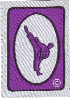 High Rounhouse Kick